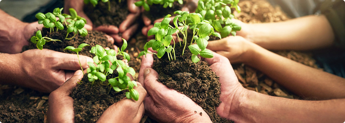 A green clean path to the future