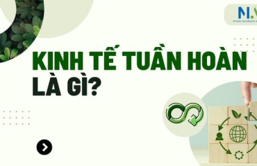 Kinh tế tuần hoàn là gì? Nguyên tắc và một số mô hình phổ biến hiện nay