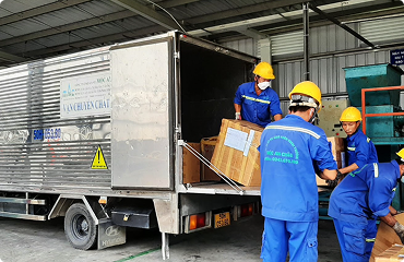 Loại cỏ mầm nào mà gà thích ăn và có dinh dưỡng cao nhất