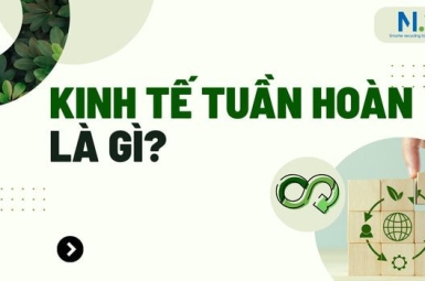 Kinh tế tuần hoàn là gì? Nguyên tắc và một số mô hình phổ biến hiện nay