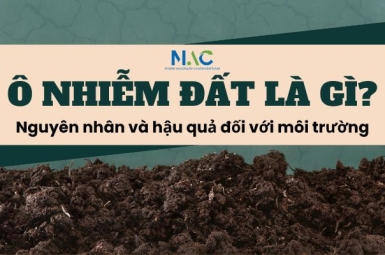 Ô nhiễm đất là gì? Nguyên nhân và hậu quả đối với môi trường