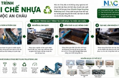 Tái chế nhựa là gì? Quy trình tái chế nhựa 