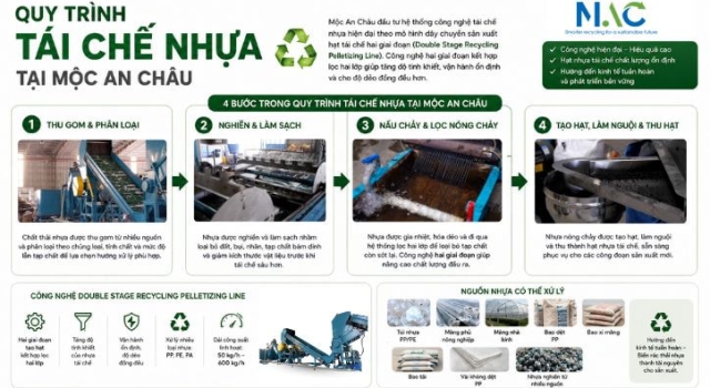 Tái chế nhựa là gì? Quy trình tái chế nhựa 