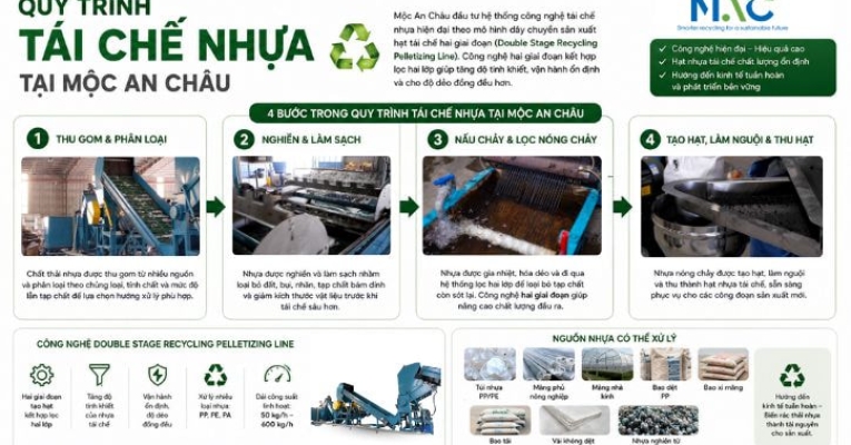 Tái chế nhựa là gì? Quy trình tái chế nhựa 