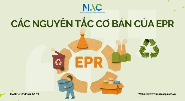 Các nguyên tắc cơ bản của EPR