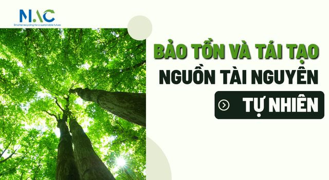 Bảo tồn và tái tạo nguồn tài nguyên tự nhiên