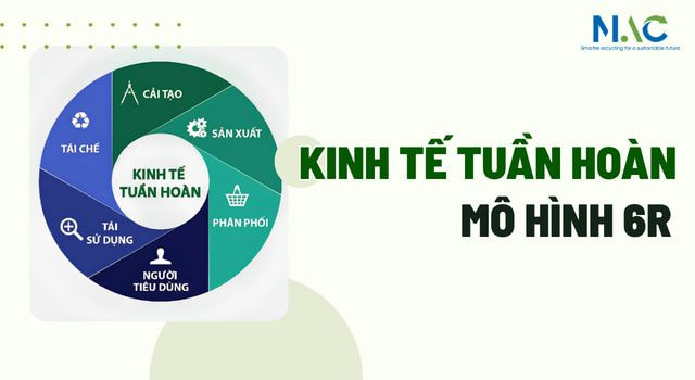 Mô hình 6R+