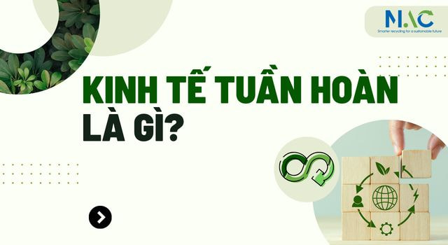 Kinh tế tuần hoàn là gì? Lợi ích khi phát triển