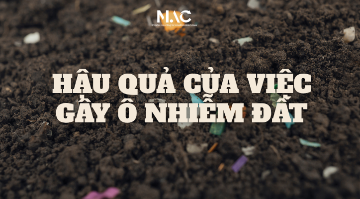 Hậu quả của việc gây ô nhiễm đất