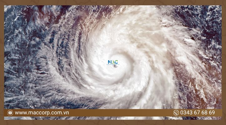 Gia tăng áp lực lên biến đổi khí hậu