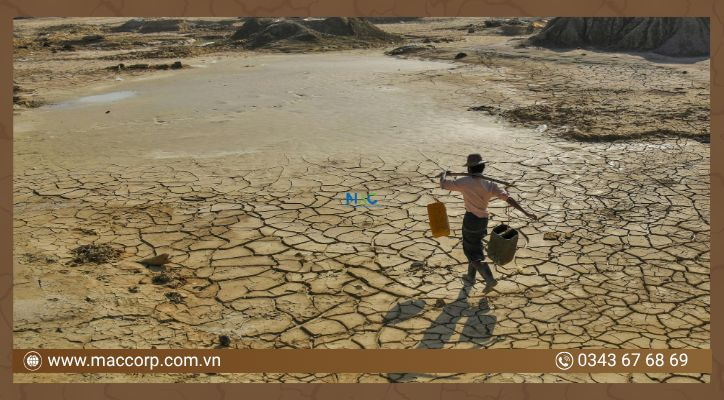 Thúc đẩy suy thoái và sa mạc hóa đất