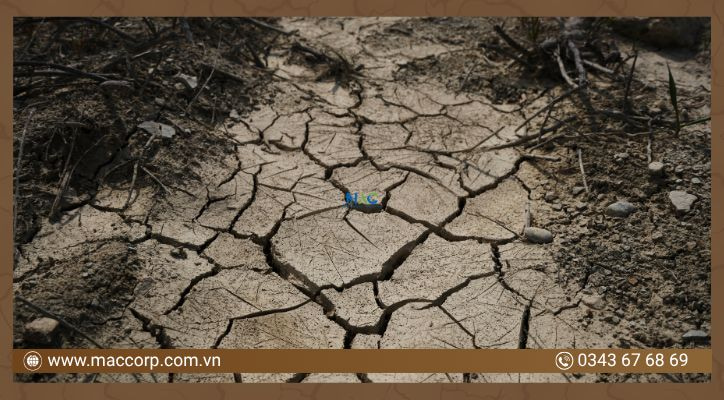 Biến đổi tự nhiên gây ô nhiễm đất 