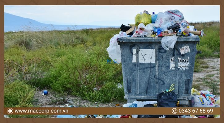 Rác thải sinh hoạt gây ô nhiễm đất